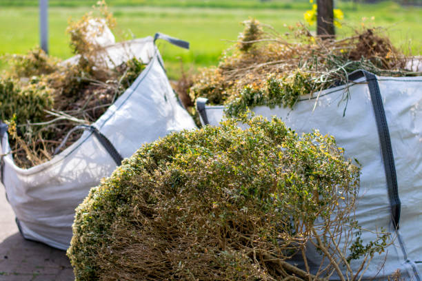 Best Office Junk Removal  in Ohatchee, AL